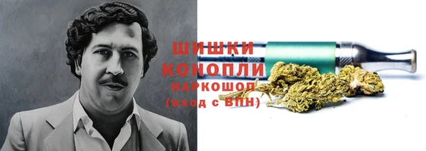 СК Абинск