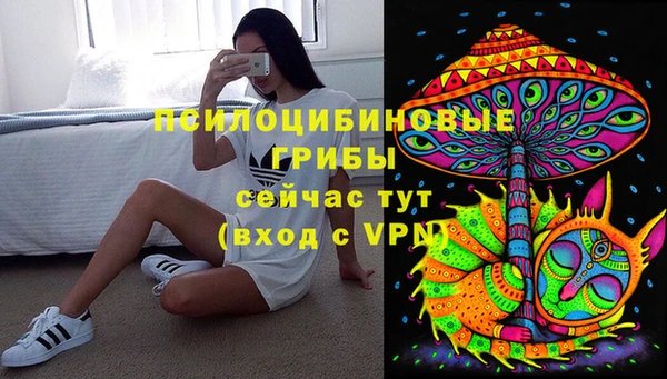 дмт Магадан