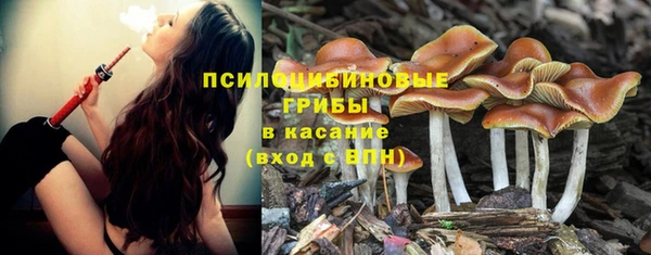СК Абинск